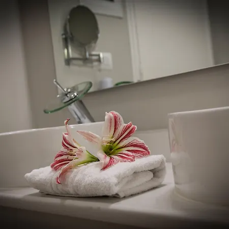 Exotica Hotel 3*